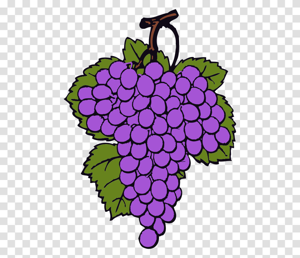 Free Clipart Grape Cluster Johnny Automatic, Grapes, Fruit, Plant, Food Transparent Png