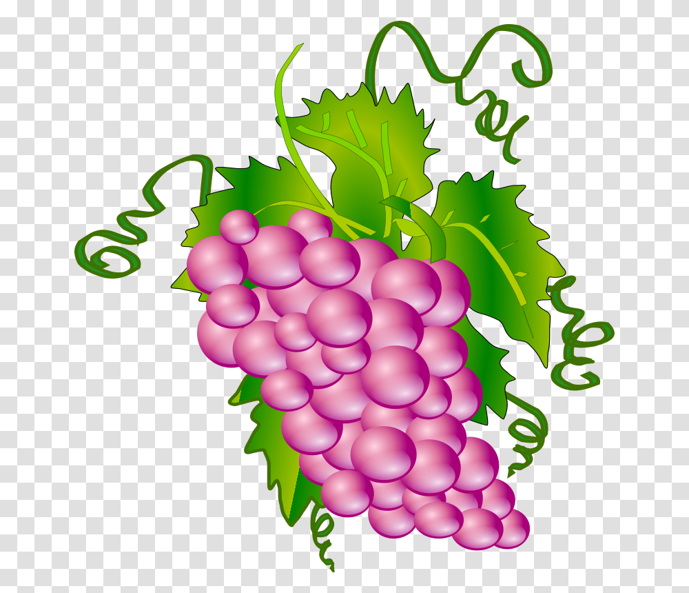 Free Clipart, Grapes, Fruit, Plant, Food Transparent Png