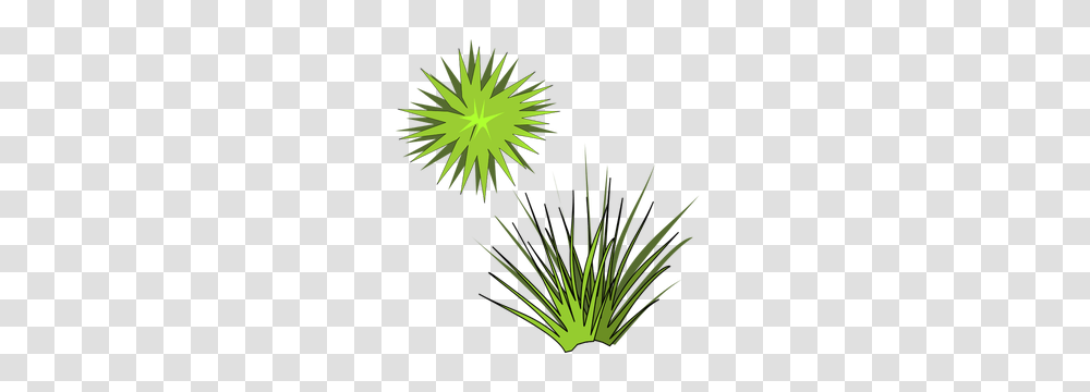 Free Clipart Green Grass, Nature, Outdoors, Vegetation, Plant Transparent Png