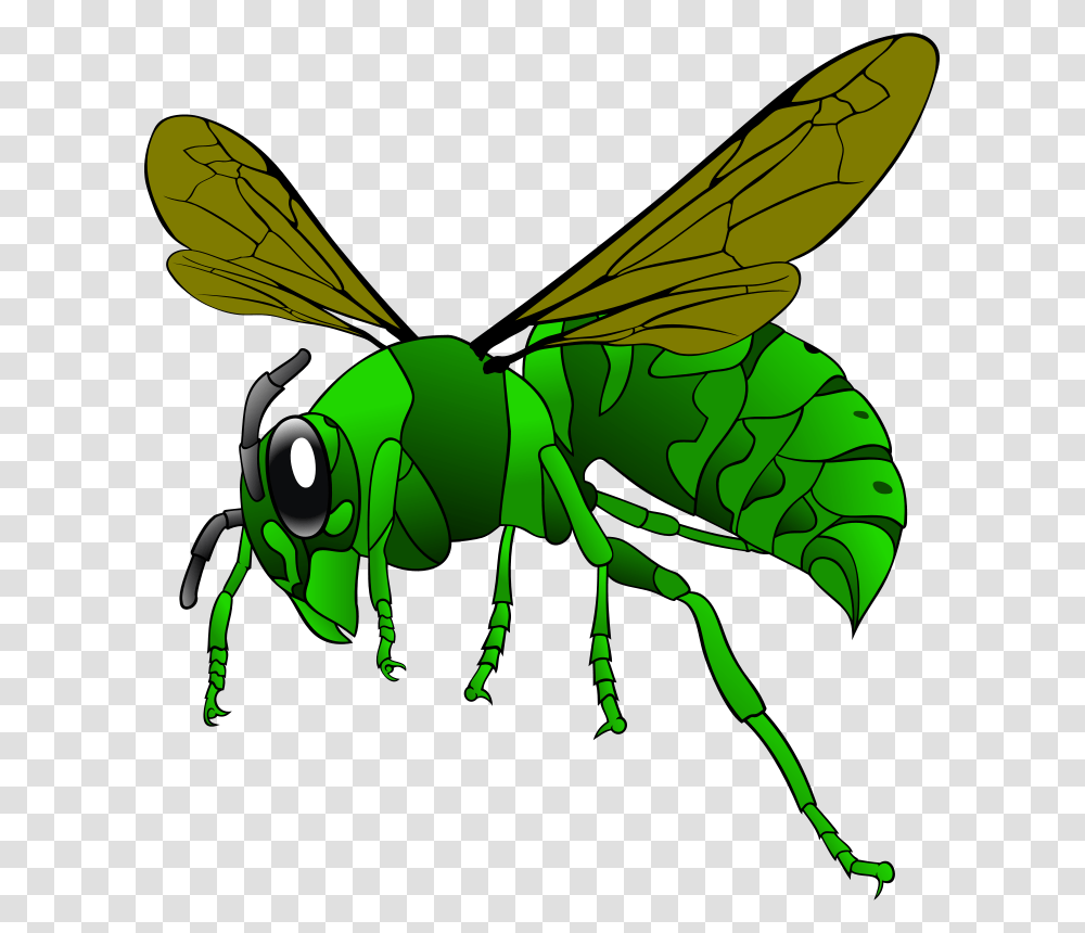 Free Clipart Green Hornet Mabroox, Insect, Invertebrate, Animal, Grasshopper Transparent Png