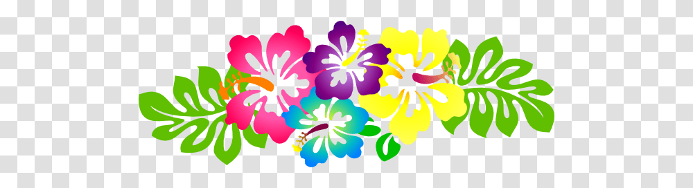 Free Clipart Hawaiian Flower Borders, Plant, Hibiscus, Blossom, Anther Transparent Png