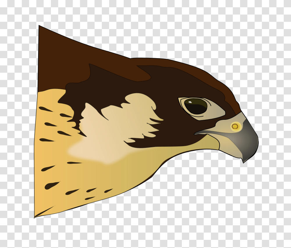 Free Clipart Hawk Antroares, Buzzard, Bird, Animal, Eagle Transparent Png