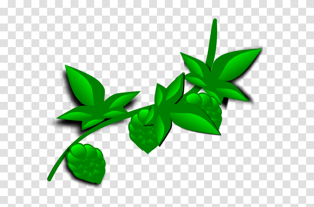 Free Clipart Hops, Green, Plant, Leaf, Vegetation Transparent Png