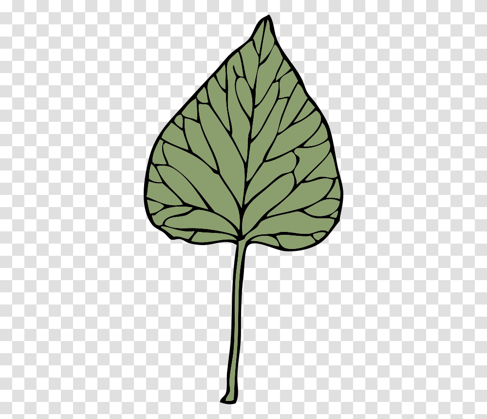 Free Clipart Ivy Leaf Johnny Automatic, Plant, Pineapple, Fruit, Food Transparent Png