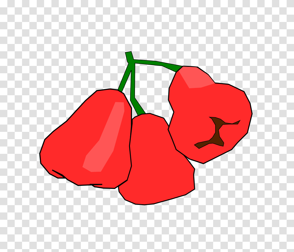 Free Clipart Jambu Monyet Cidcidcuid, Plant, Food, Fruit, Vegetable Transparent Png