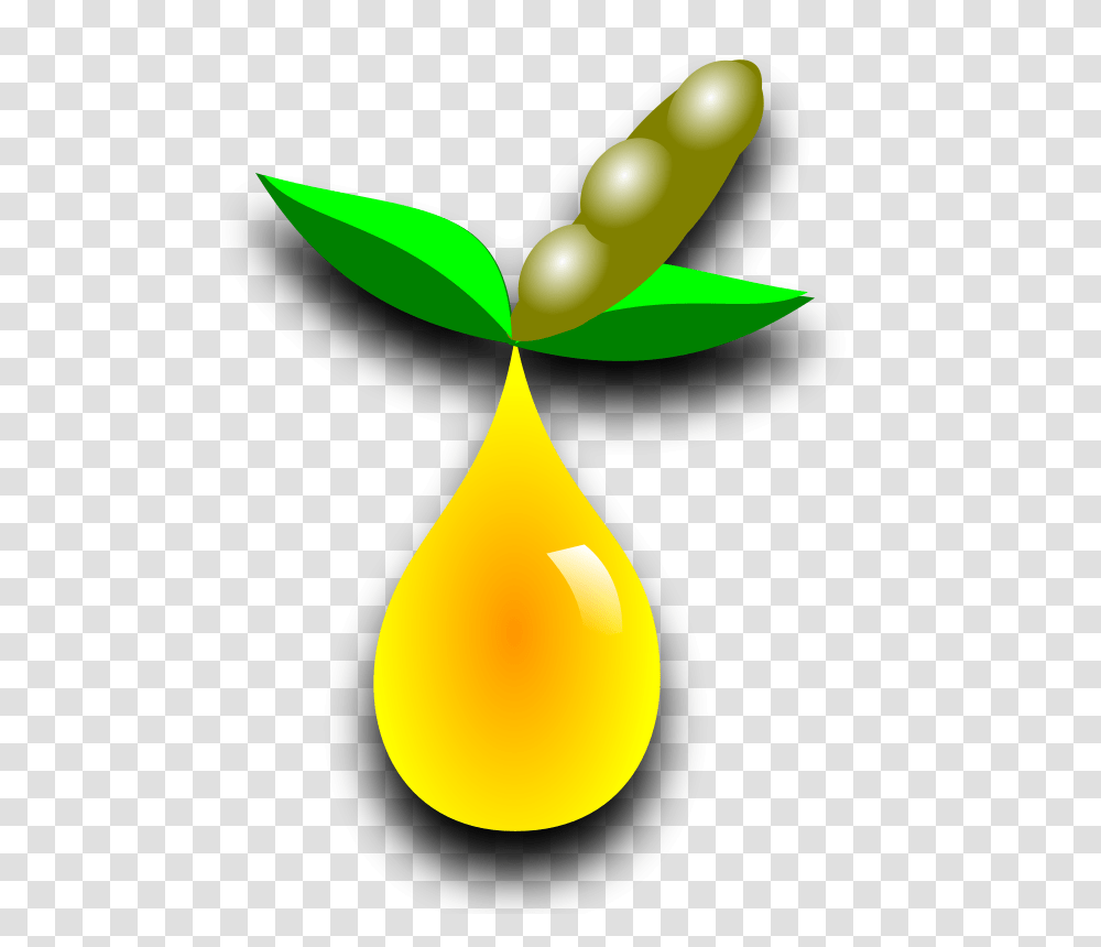 Free Clipart, Lamp, Droplet, Plant Transparent Png