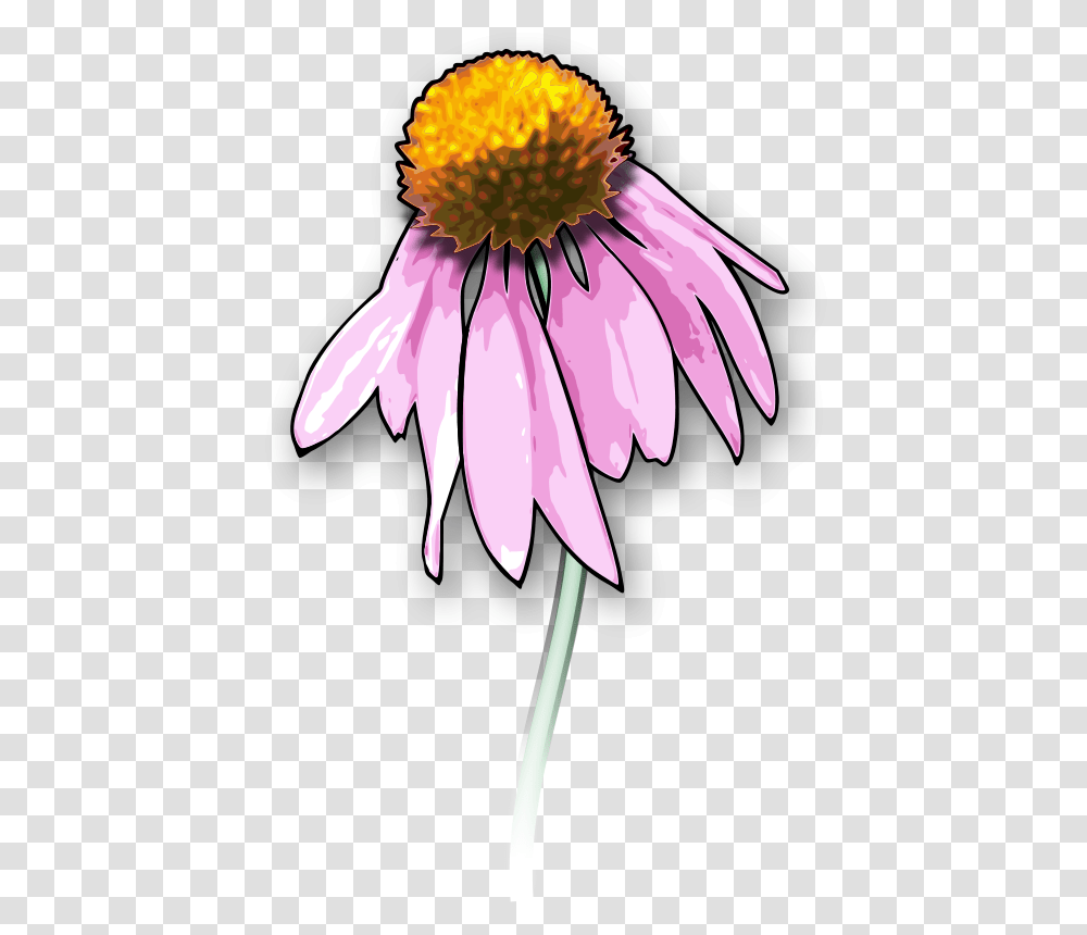 Free Clipart Landscape, Plant, Daisy, Flower, Daisies Transparent Png