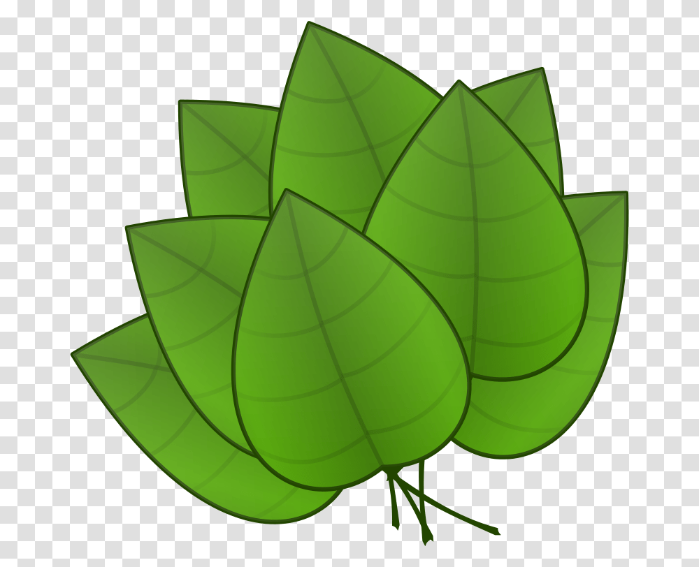 Free Clipart, Leaf, Plant, Lamp, Green Transparent Png