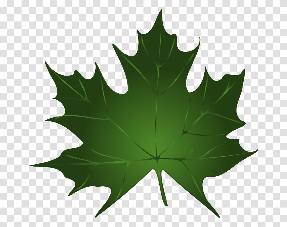 Free Clipart, Leaf, Plant, Maple Leaf, Tree Transparent Png