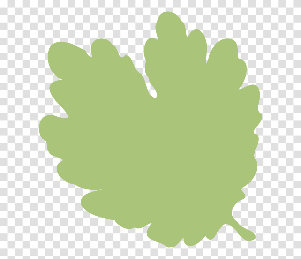 Free Clipart, Leaf, Plant, Tree, Maple Leaf Transparent Png