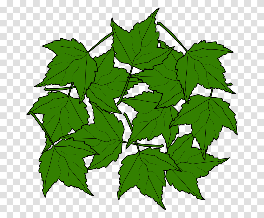 Free Clipart, Leaf, Plant, Tree, Maple Leaf Transparent Png