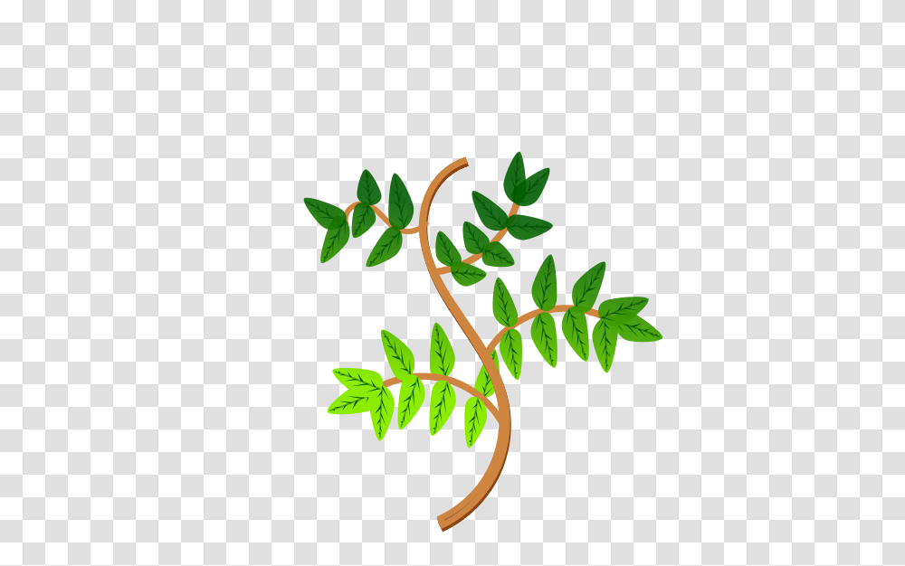 Free Clipart Leaves And Branches, Leaf, Plant, Tree, Green Transparent Png