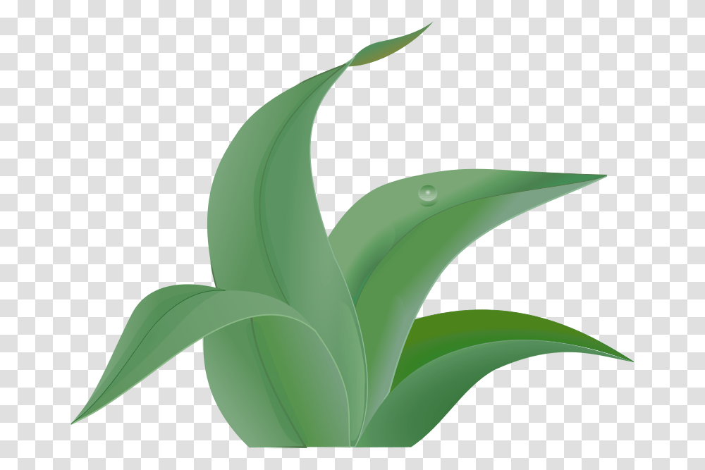 Free Clipart Leaves Martinix, Plant, Leaf, Banana, Fruit Transparent Png