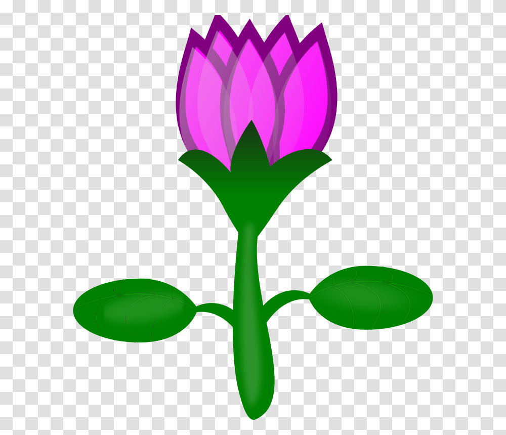 Free Clipart Lotus, Plant, Flower, Bud, Sprout Transparent Png