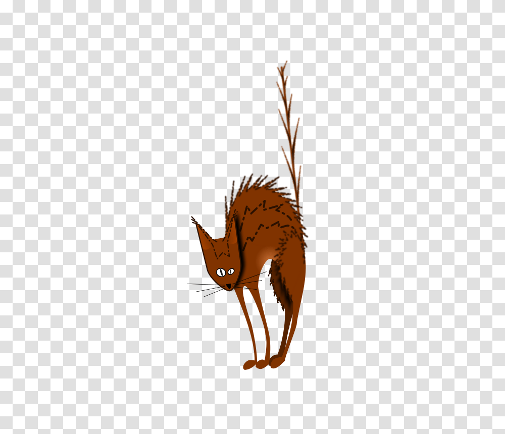 Free Clipart, Mammal, Animal, Coyote, Wildlife Transparent Png