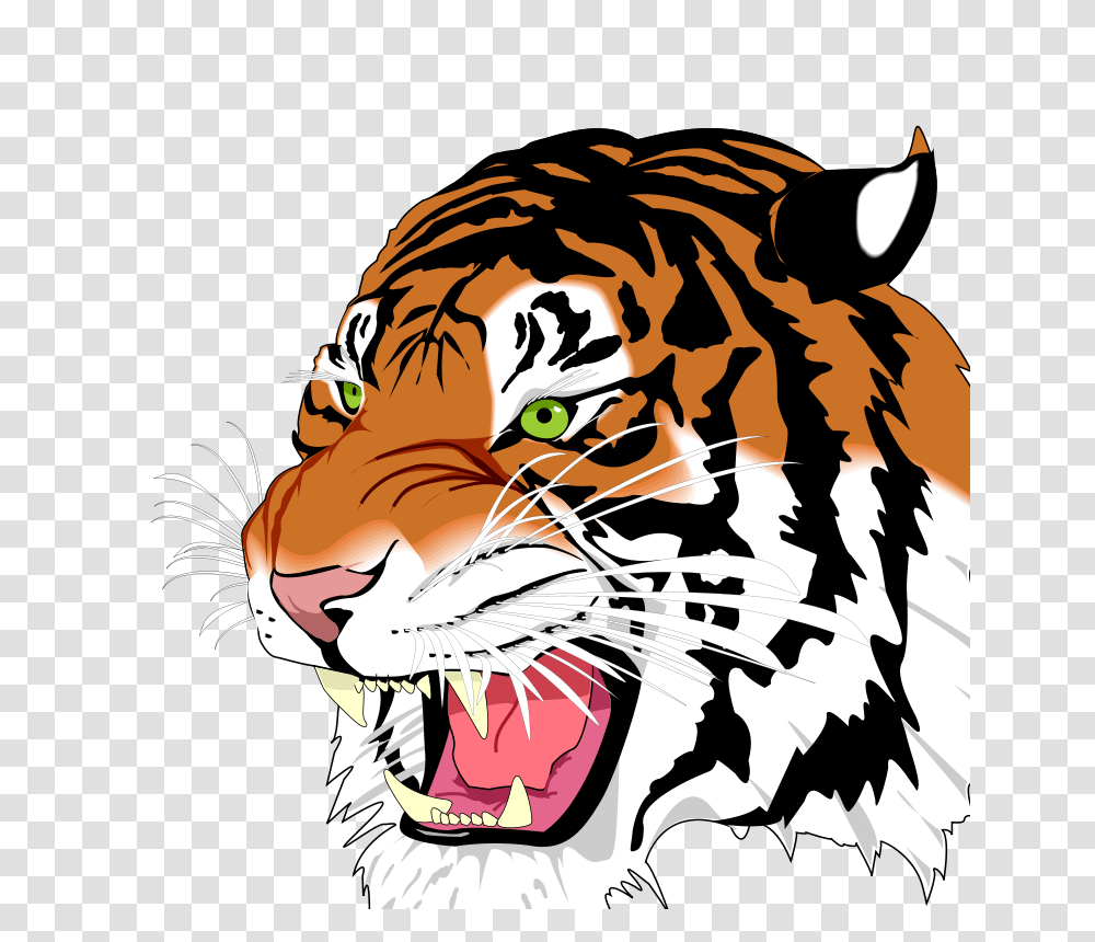 Free Clipart, Mammal, Animal, Wildlife, Tiger Transparent Png