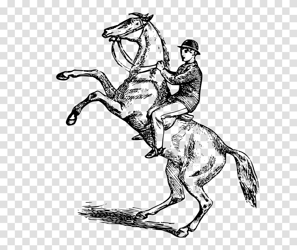 Free Clipart Man Riding A Rearing Horse, Gray, World Of Warcraft Transparent Png