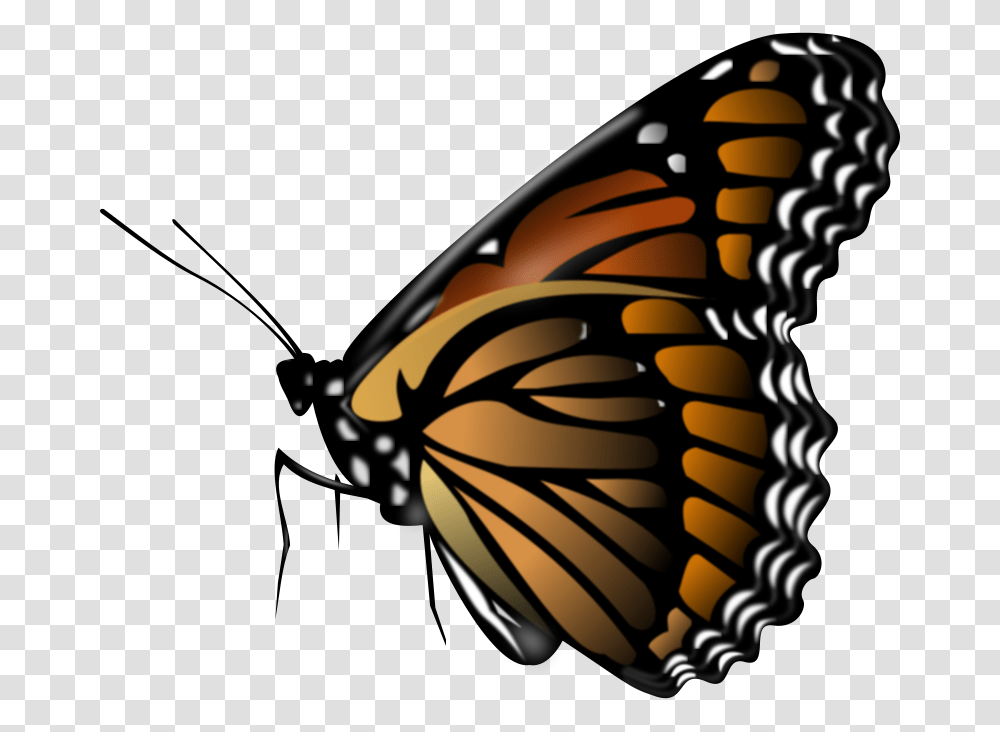 Free Clipart Monarch Butterfly, Insect, Invertebrate, Animal, Lamp Transparent Png