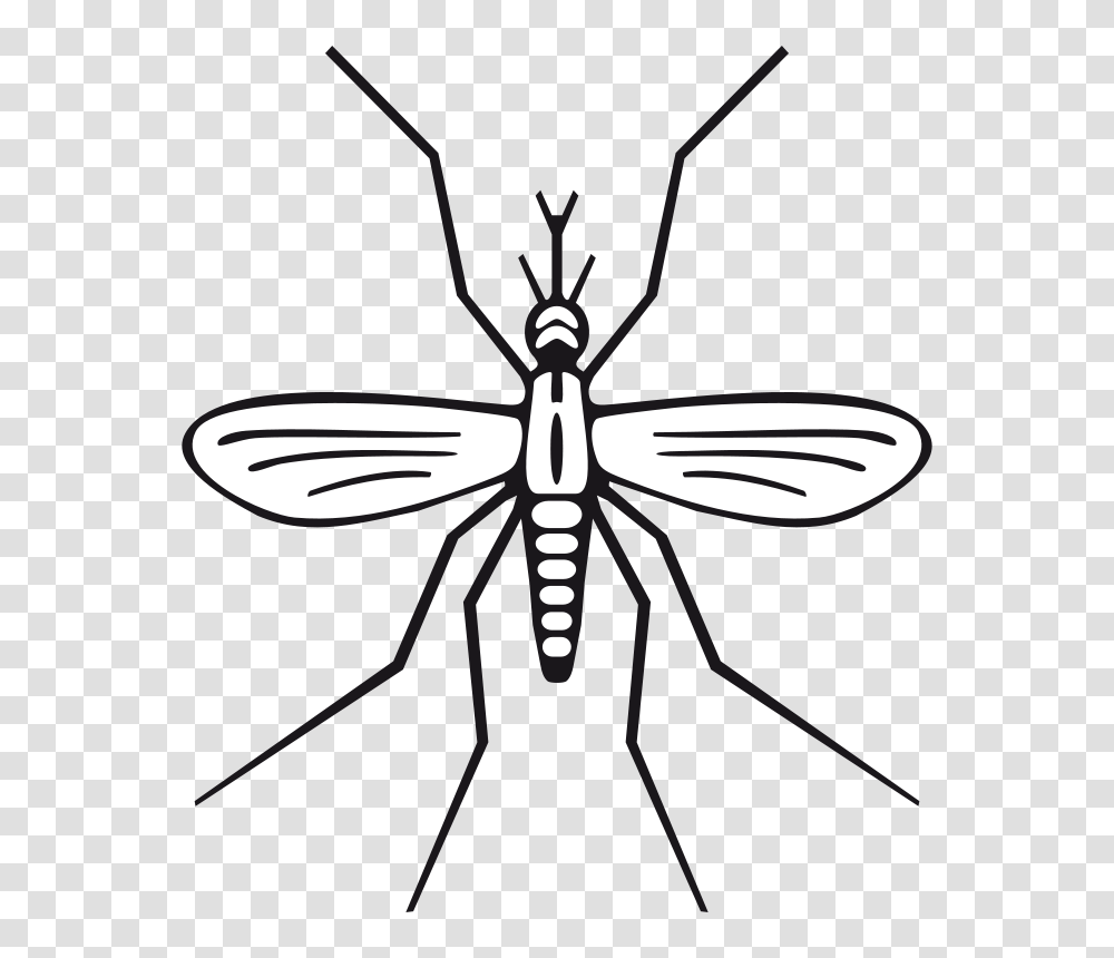 Free Clipart Mosquito Rewarriner, Lamp, Animal, Insect, Invertebrate Transparent Png