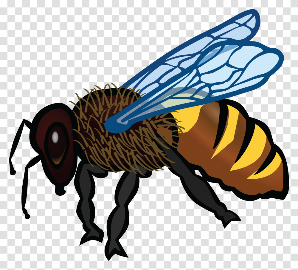 Free Clipart Of A Bee, Wasp, Insect, Invertebrate, Animal Transparent Png