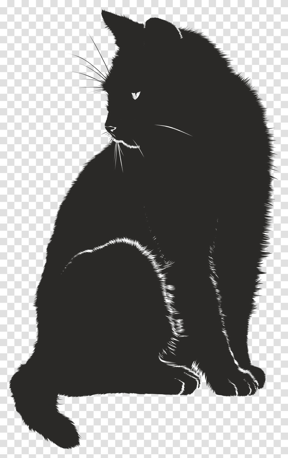 Free Clipart Of A Black And White Sitting Cat Black Cat Graphic, Silhouette, Animal, Mammal, Pet Transparent Png
