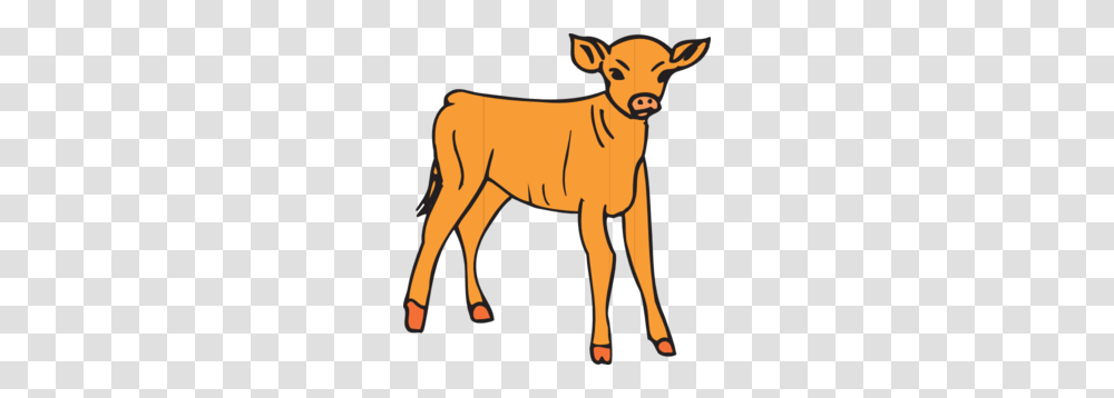 Free Clipart Of A Calf, Mammal, Animal, Cow, Cattle Transparent Png