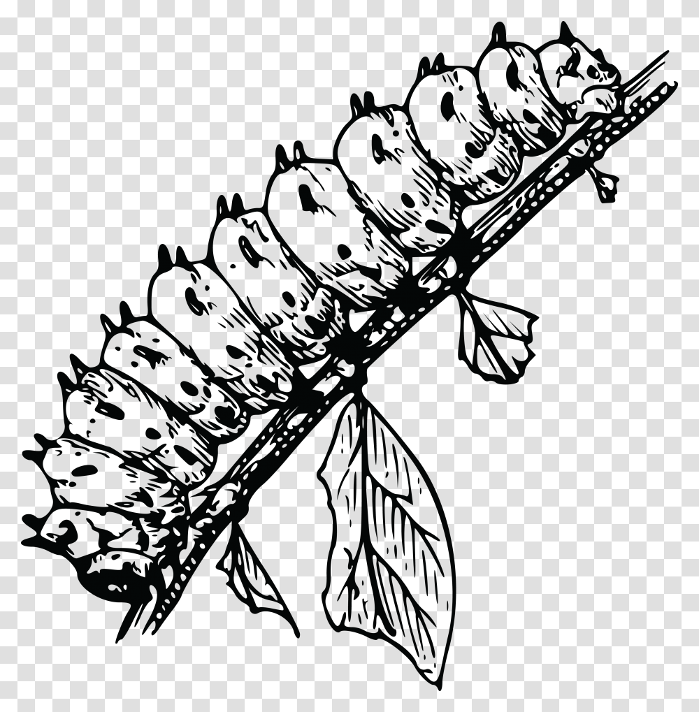 Free Clipart Of A Caterpillar Bug Larva Black And White, Silhouette, Leisure Activities Transparent Png