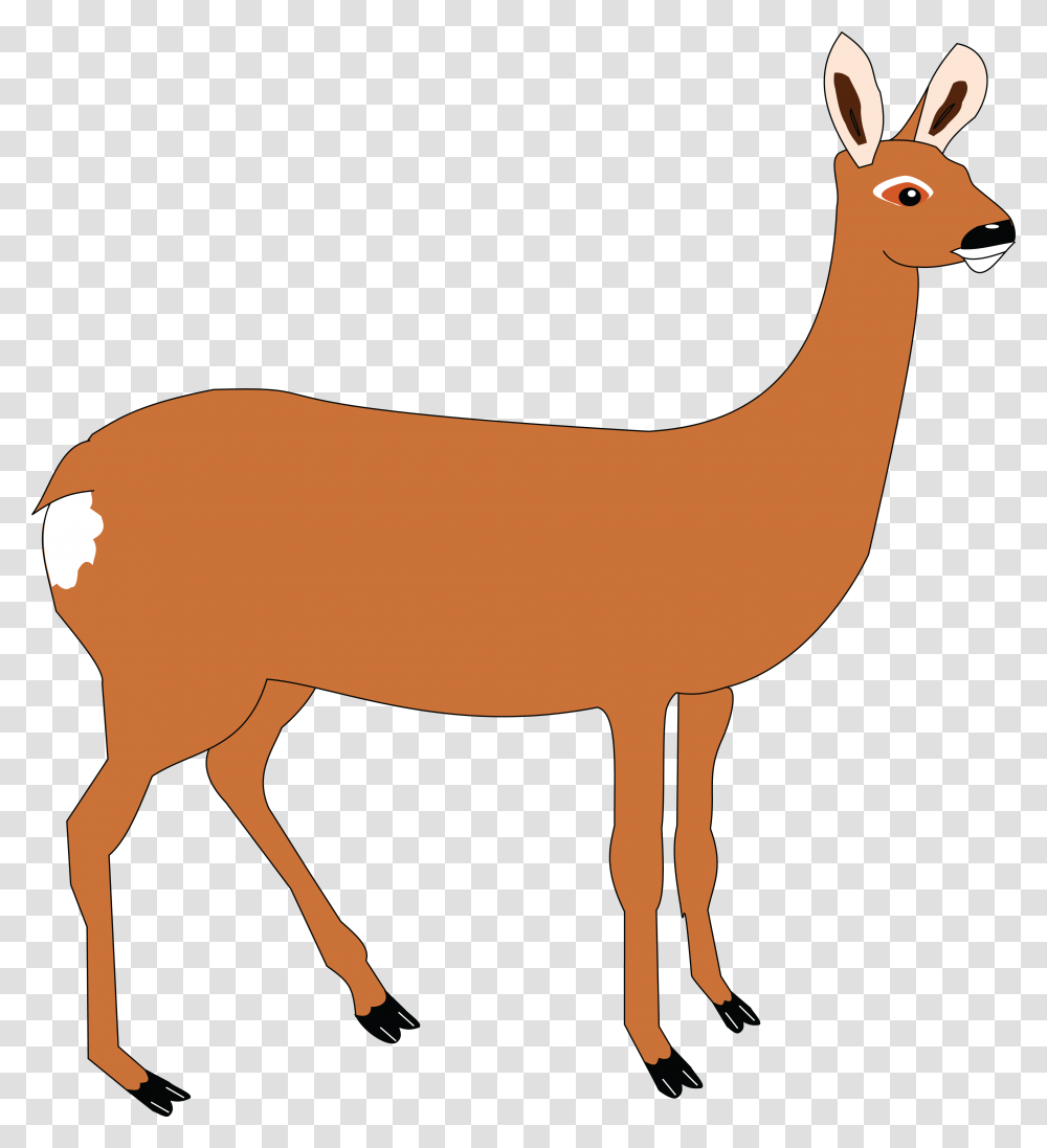 Free Clipart Of A Doe Deer, Animal, Mammal, Llama, Alpaca Transparent Png