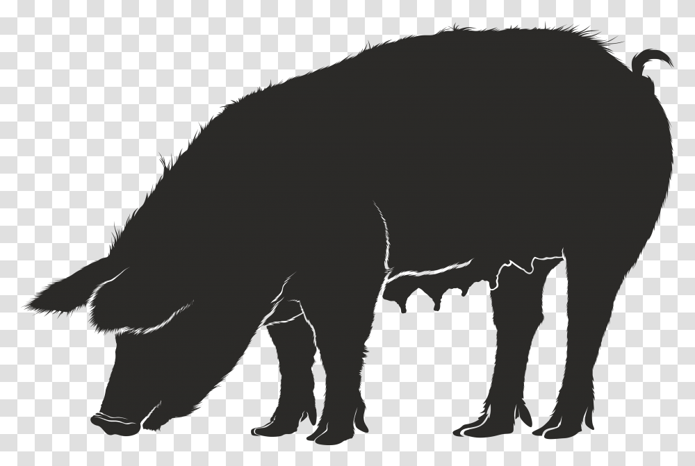 Free Clipart Of A Hog, Mammal, Animal, Pig, Wildlife Transparent Png