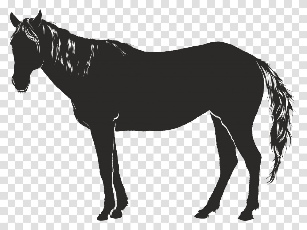 Free Clipart Of A Horse, Animal, Mammal, Reptile, Dinosaur Transparent Png