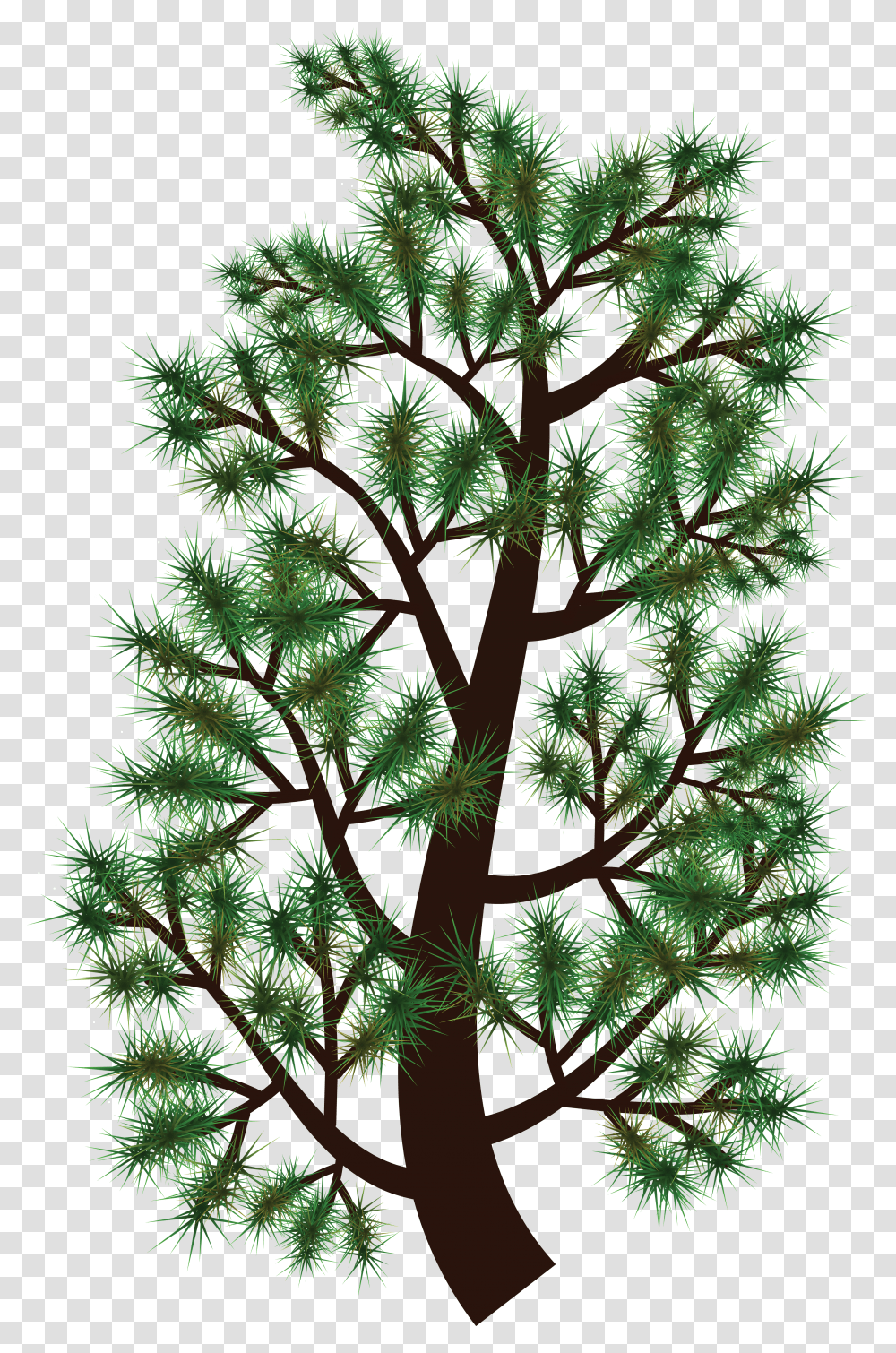 Free Clipart Of A Pine Tree Branch Clip Art Transparent Png