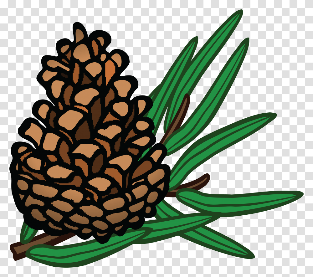 Free Clipart Of A Pinecone, Plant, Pollen, Flower, Tree Transparent Png