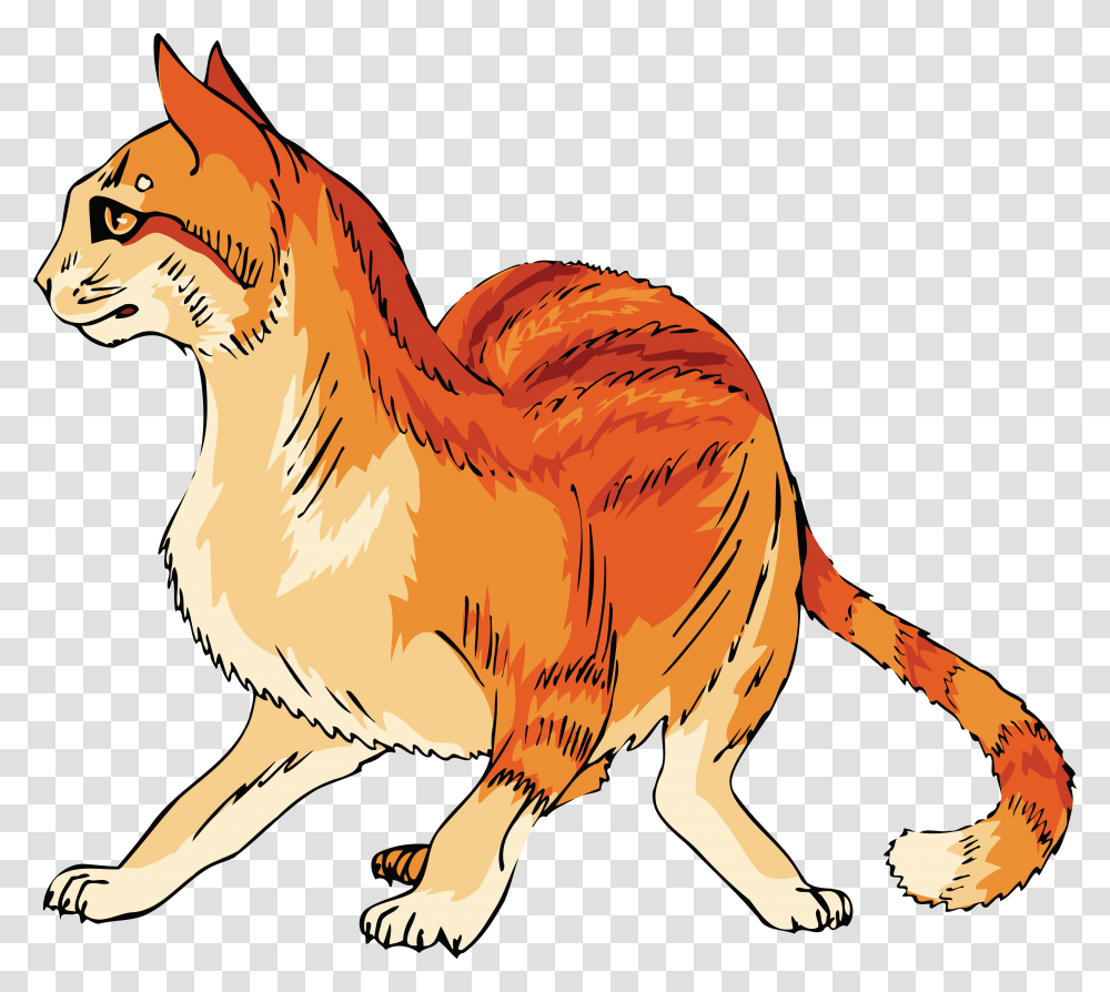 Free Clipart Of A Scared Orange Cat Cat Mango Shaped Space Cat Colrs, Mammal, Animal, Canine, Pet Transparent Png