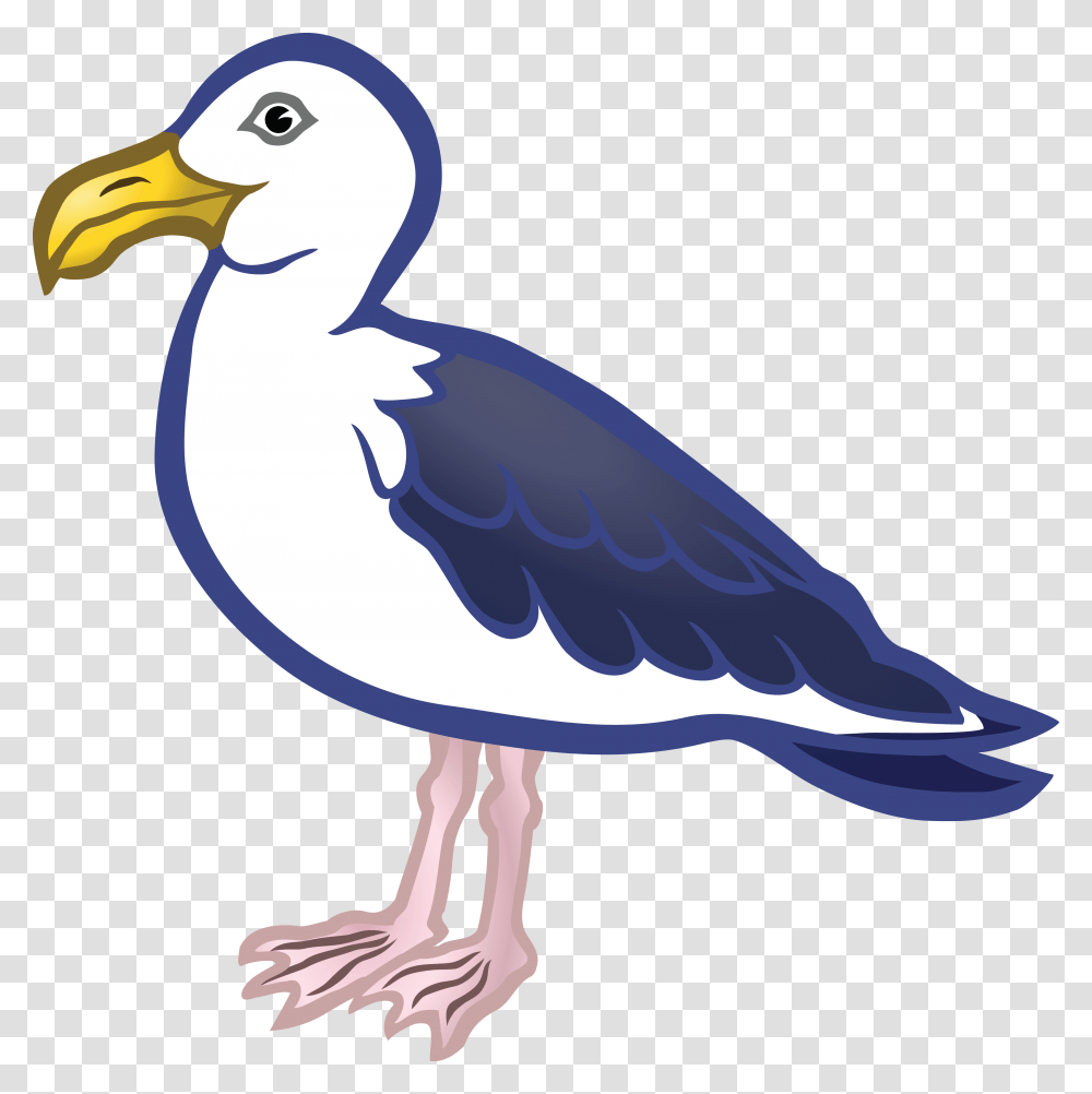 Free Clipart Of A Seagull Bird, Animal, Beak, Waterfowl, Dodo Transparent Png