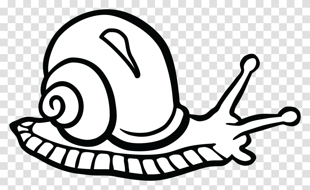 Free Clipart Of A Snail, Apparel, Cowboy Hat Transparent Png