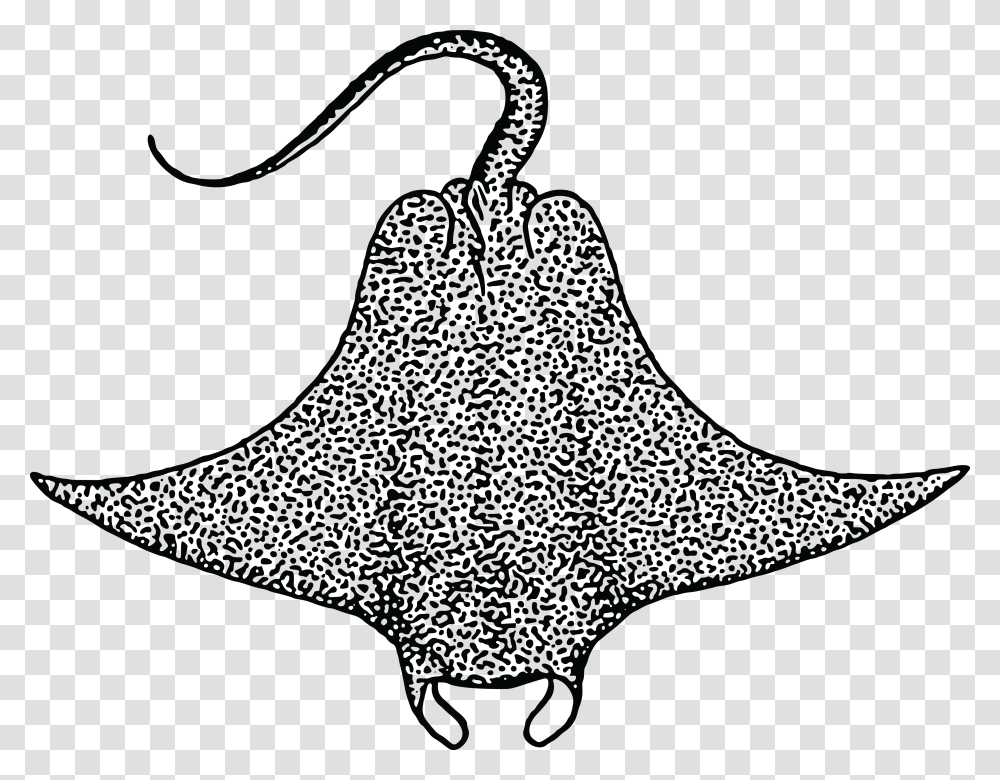 Free Clipart Of A Stingray, Silhouette, Animal, Firefly, Ornament Transparent Png