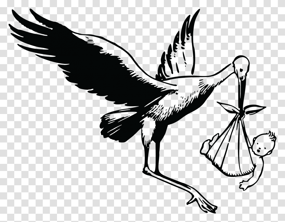 Free Clipart Of A Stork And Baby, Bird, Animal, Vulture, Flying Transparent Png