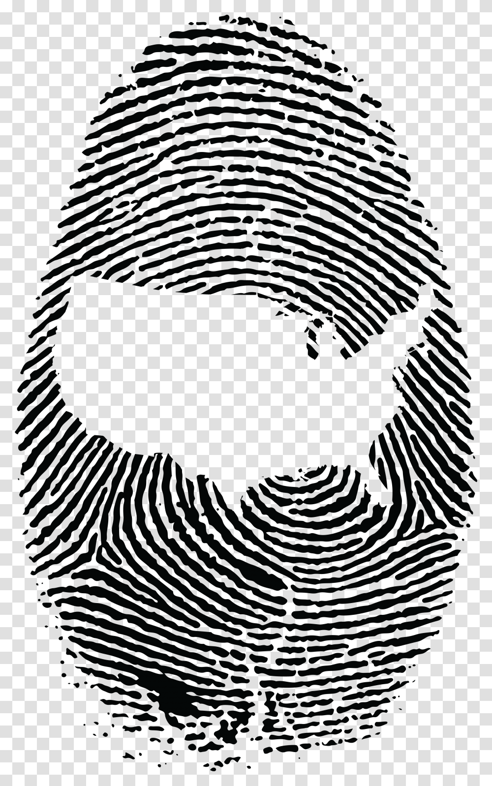 Free Clipart Of A Thumb Print With The United States Fibonacci Sequence In Fingerprint, Spider Web, Apparel Transparent Png