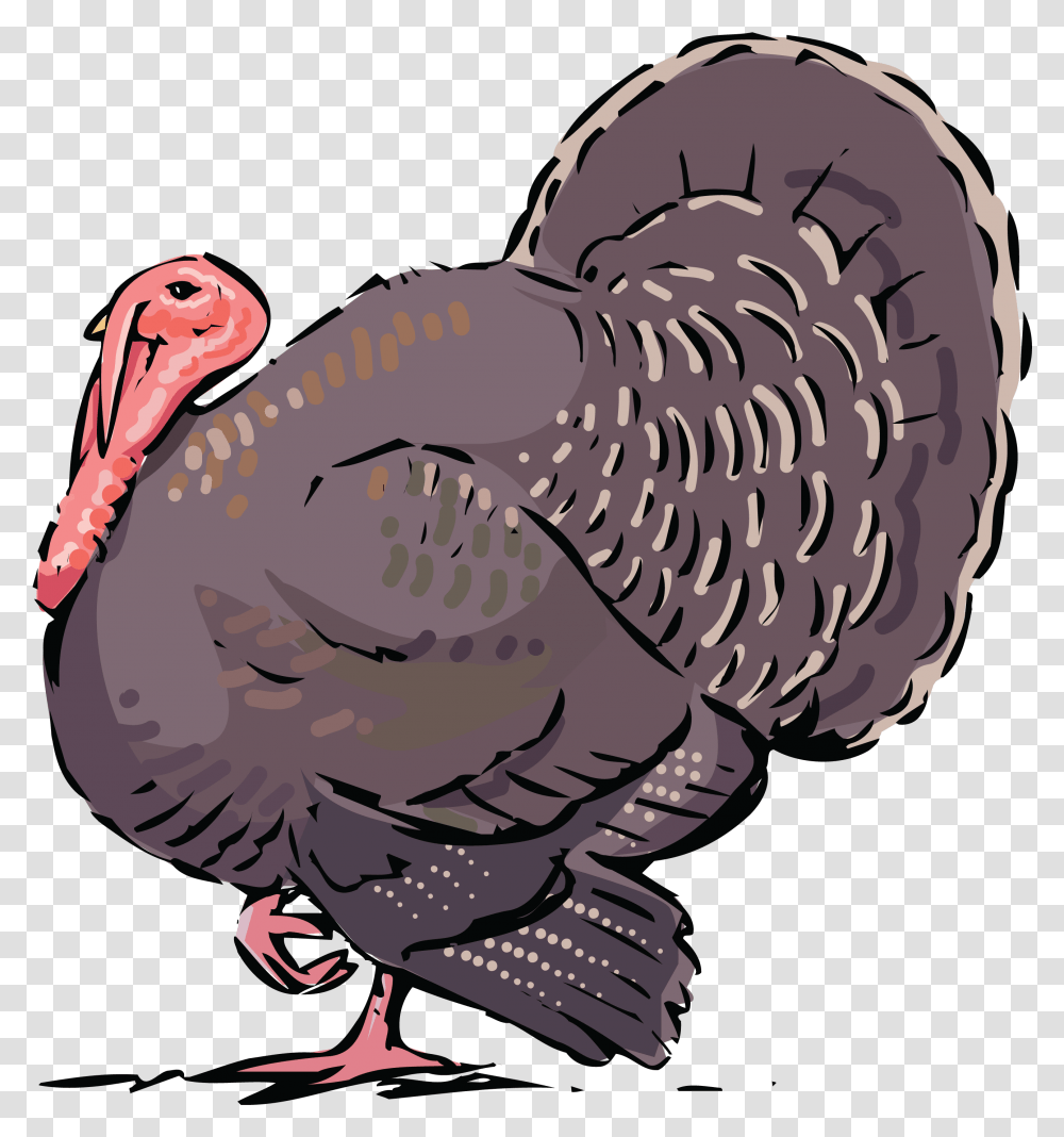 Free Clipart Of A Turkey Bird Free Clip Art Turkey, Poultry, Fowl, Animal Transparent Png