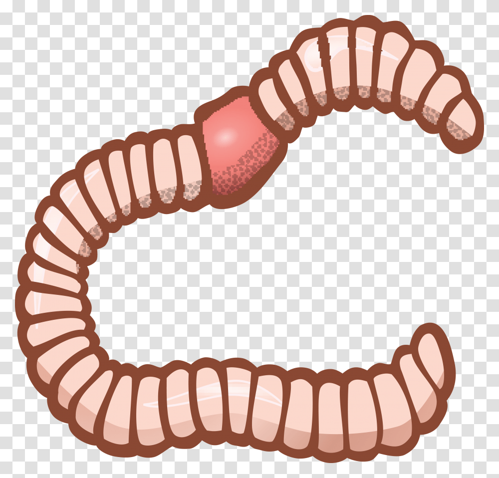 Free Clipart Of An Earthworm, Invertebrate, Animal, Screw, Machine Transparent Png