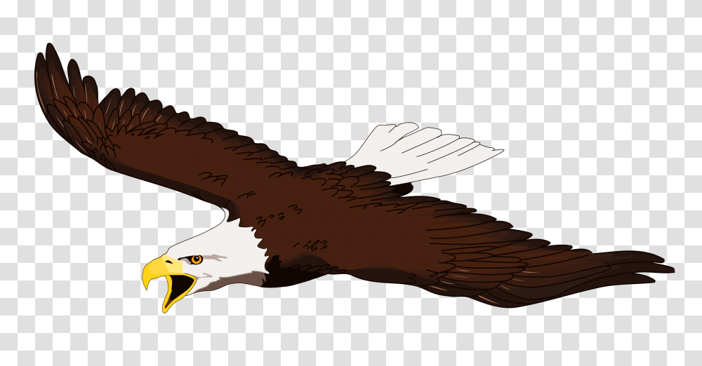 Free Clipart Of Eagle Transparent Png