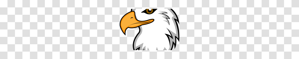 Free Clipart Of Eagles Eagle Silhouette Clip Art Free, Beak, Bird, Animal, Bald Eagle Transparent Png