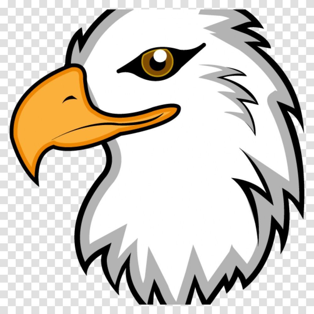 Free Clipart Of Eagles Free Clipart Download, Bird, Animal, Bald Eagle, Beak Transparent Png