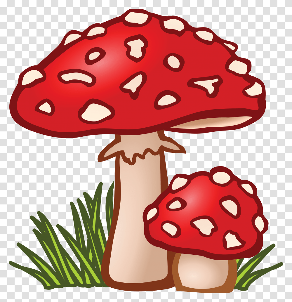 Free Clipart Of Mushrooms, Plant, Agaric, Fungus, Amanita Transparent Png