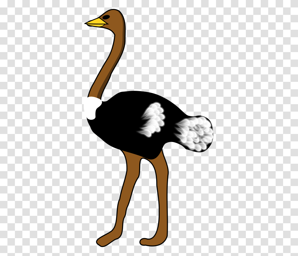 Free Clipart Ostrich Rpzboray, Person, Animal, Rose, Flower Transparent Png