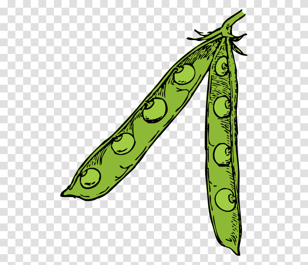 Free Clipart Pea Pod Johnny Automatic, Plant, Vegetable, Food, Produce Transparent Png