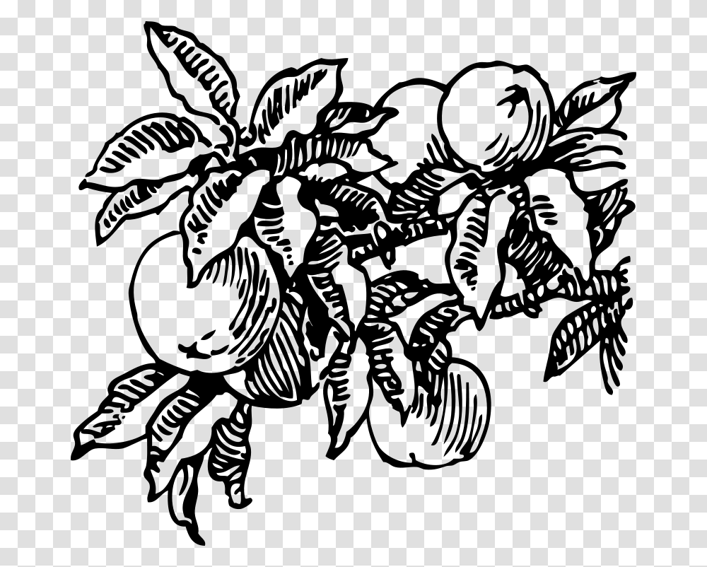 Free Clipart Peaches Johnny Automatic, Gray, World Of Warcraft Transparent Png