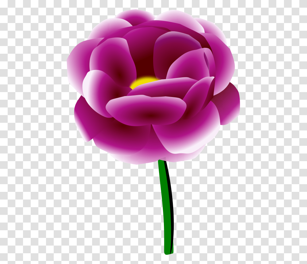 Free Clipart Peony, Plant, Flower, Blossom, Tulip Transparent Png