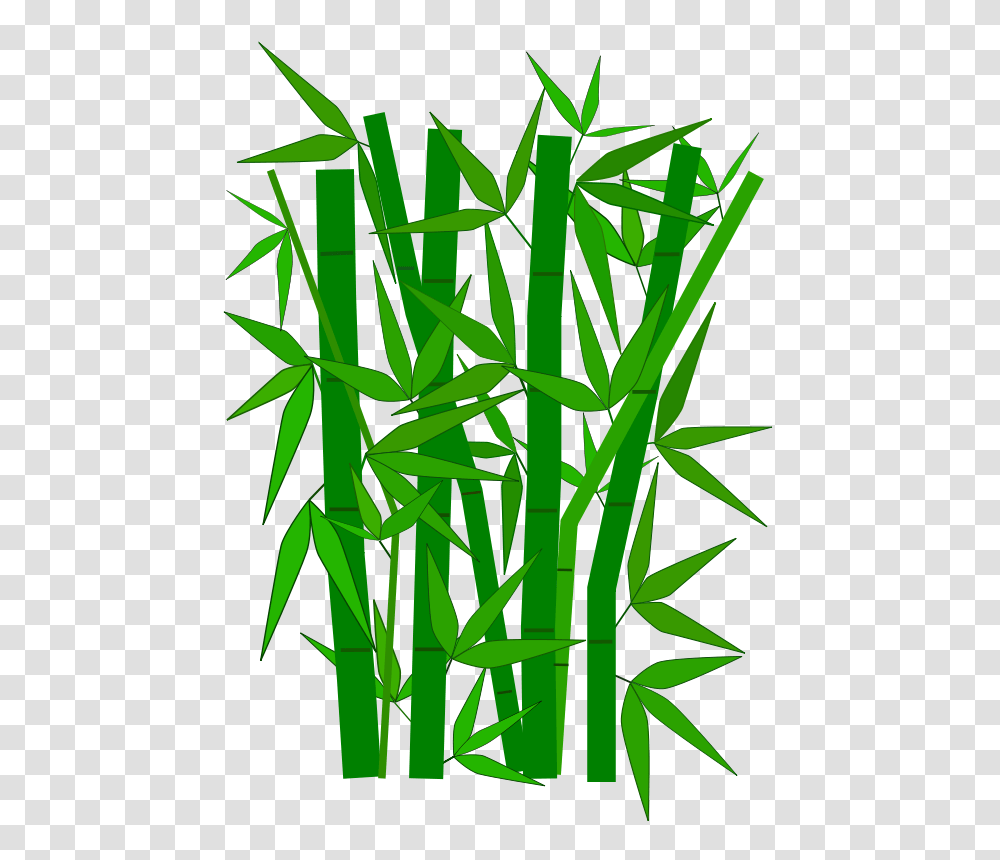 Free Clipart, Plant, Bamboo, Grass Transparent Png