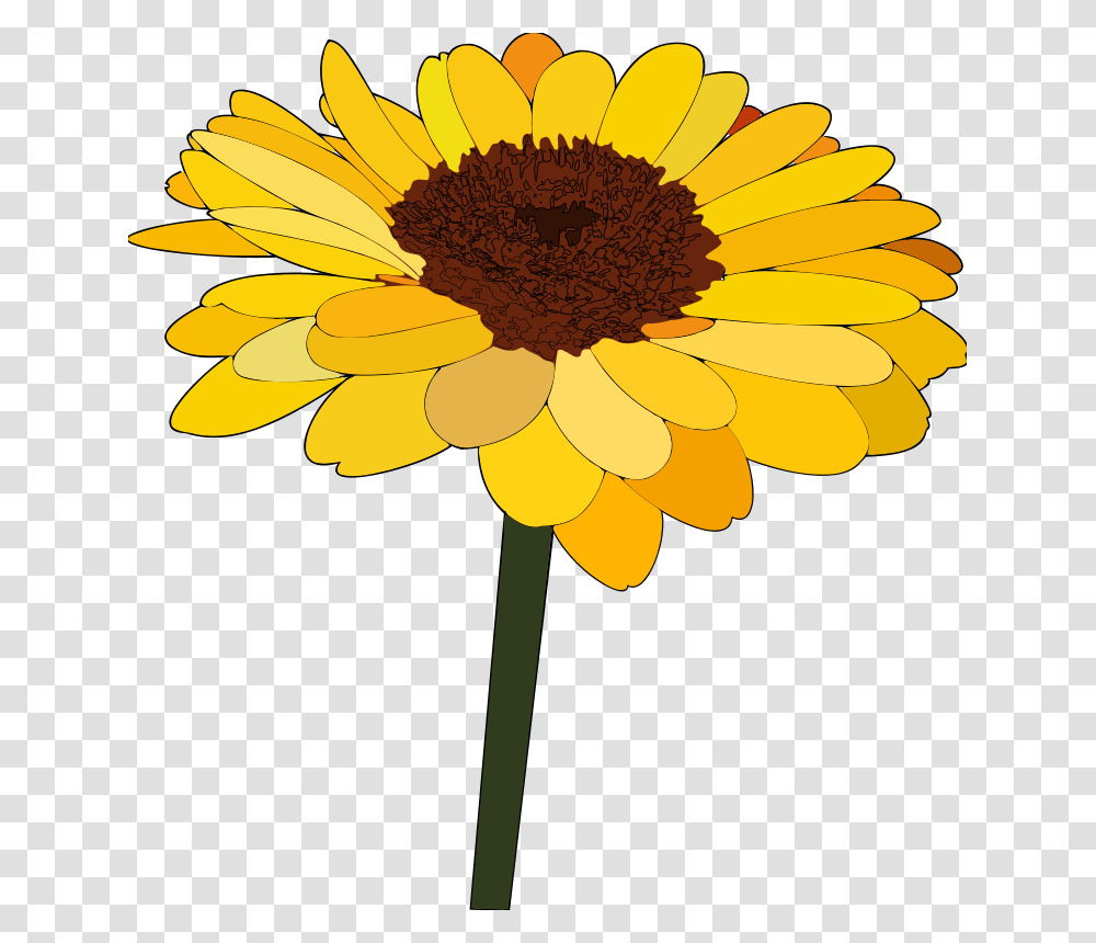 Free Clipart, Plant, Flower, Blossom, Sunflower Transparent Png